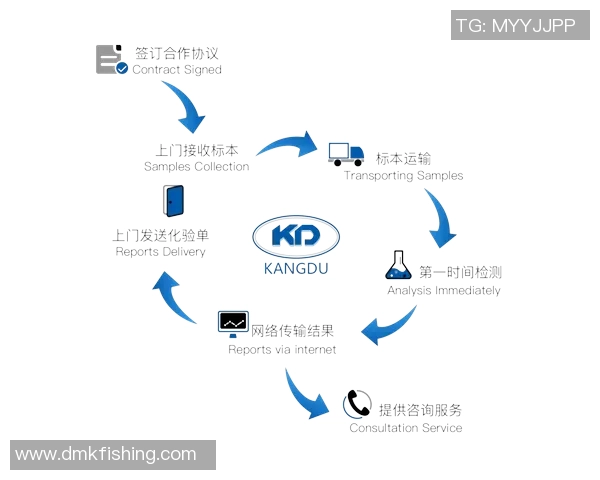 从设备调试到多平台推流的标准化直播执行流程全面解析