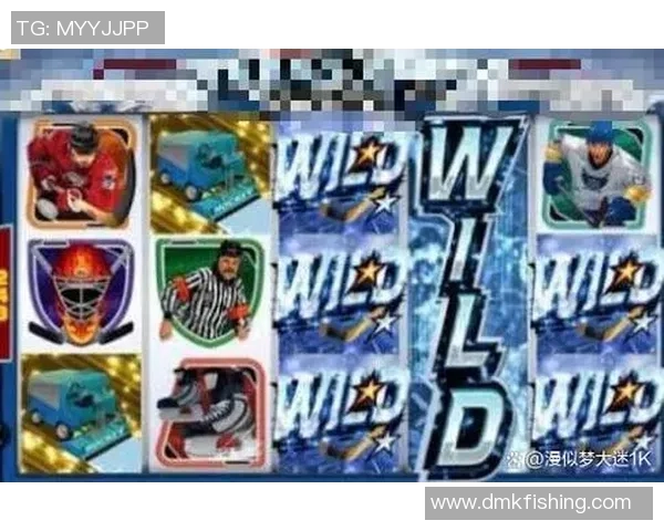 冰球突破系列游戏深度解析其独特玩法与核心机制的魅力所在 冰球突破系列游戏深度解析其独特玩法与核心机制的魅力所在