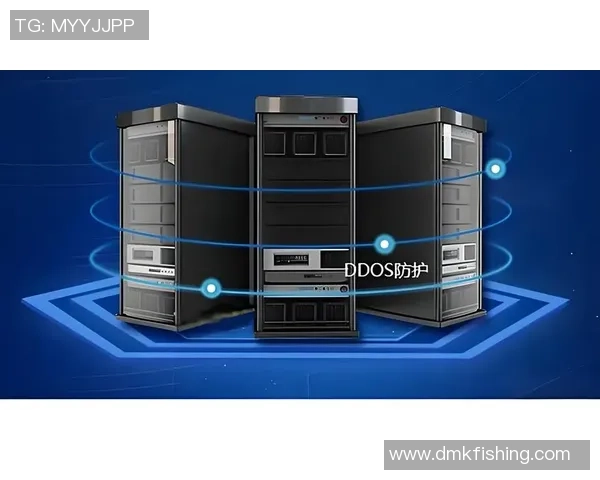 全面提升服务器安全防护策略有效抵御DDoS攻击与黑客入侵风险
